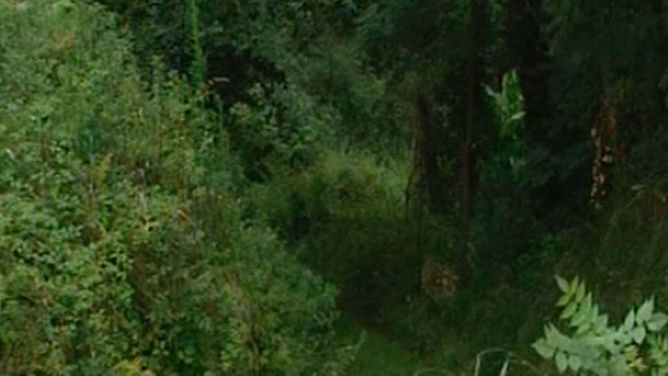 ETA ocultaba en el zulo descubierto en Francia un arsenal con armas cortas