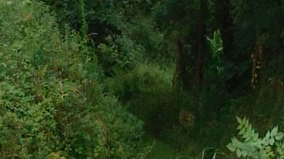 ETA ocultaba en el zulo descubierto en Francia un arsenal con armas cortas