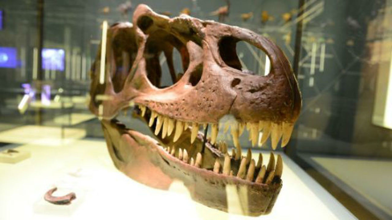 Los dinosaurios conquistan la Ciudad de las Artes y las Ciencias