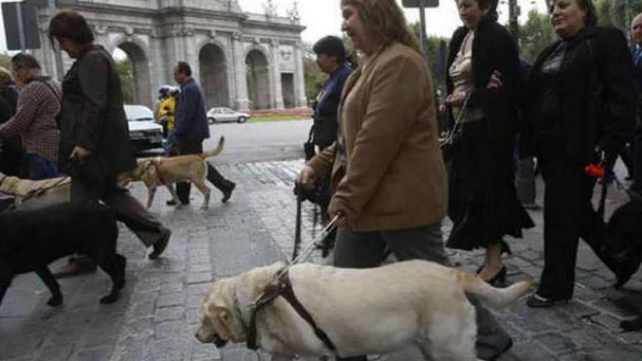 Los perros guía pasearán este domingo por El Retiro