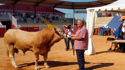 Subasta Nacional de Ganado Selecto en Colmenar Viejo