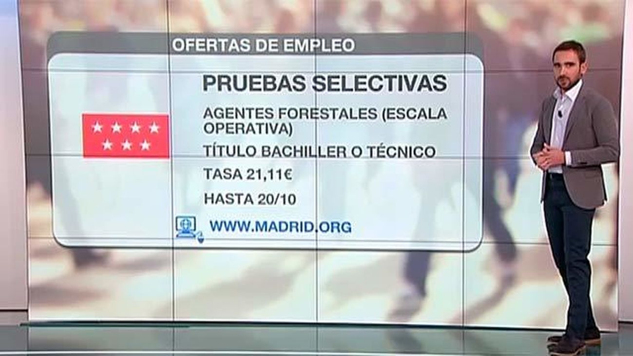 Ofertas de empleo