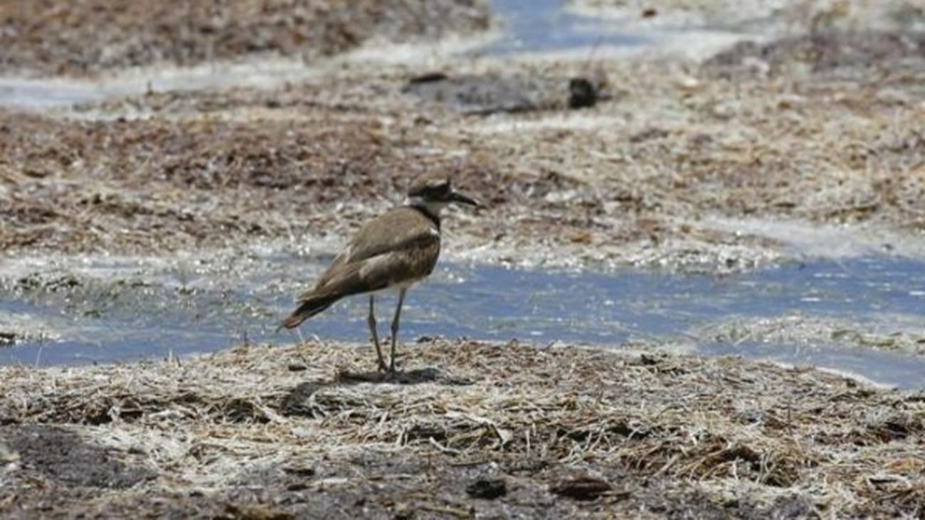 Acuerdo de 200 países para la eliminación progresiva de los gases HFC