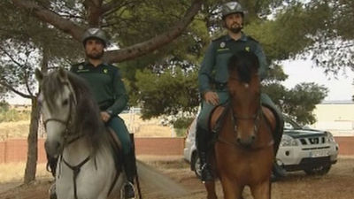 Un día con la unidad equina de la Benemérita de Valdemoro