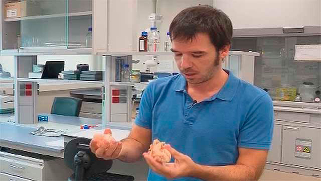 Proyectos tecnológicos de salud