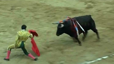 El Tribunal Constitucional anula la prohibición de los toros en Cataluña
