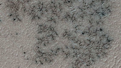 Un total de 10.000 voluntarios ayudan  a la NASA a buscar 'arañas' en Marte