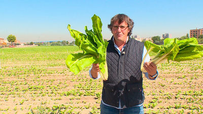 Fuenlabrada: Una gran ciudad... de tradición agrícola
