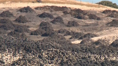 Un año del incendio de Seseña: un mal recuerdo para un pueblo que rebosa vida