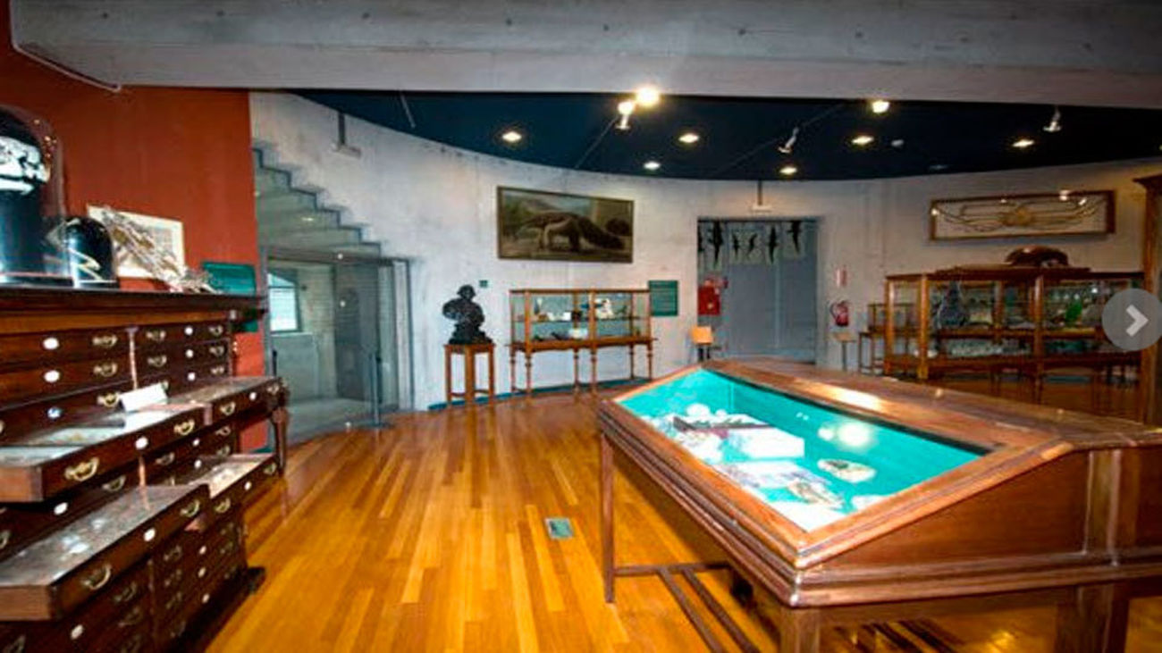 El Museo de Ciencias Naturales abre la exposición "Una colección, un criollo erudito y un rey"