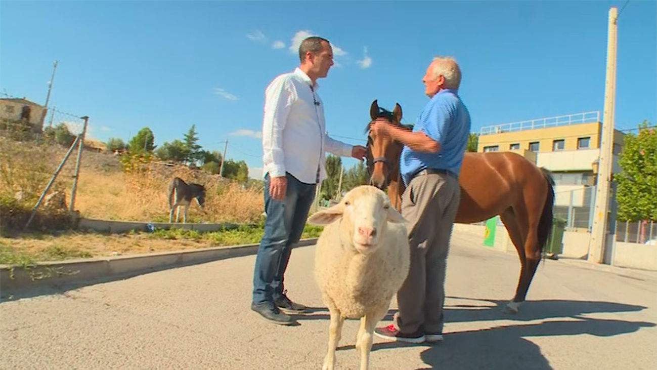 Estremera: Sebas, como Noé