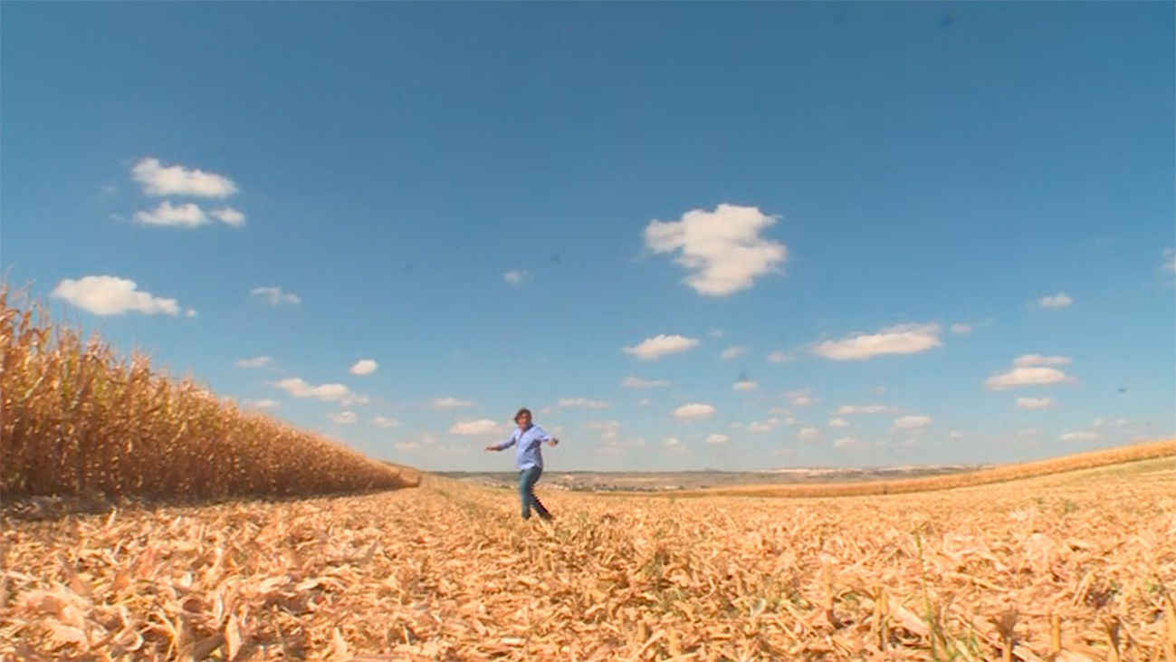 Estremera: Entre maizales