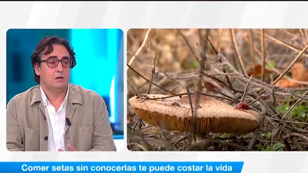 El peligro de comer setas sin conocerlas