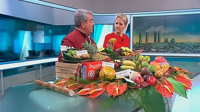 Es tiempo de fruta tropical