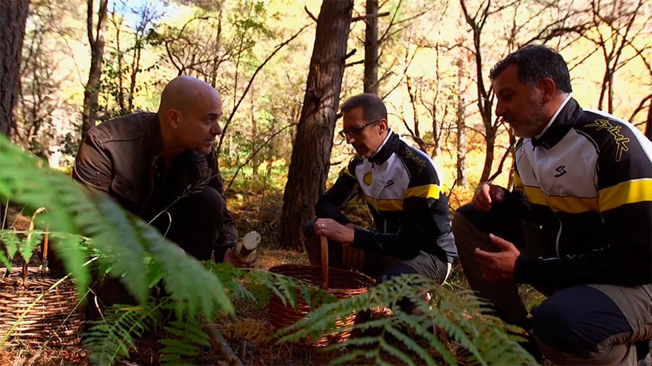 El Encantador de Setas: Boletus edulis en Braojos