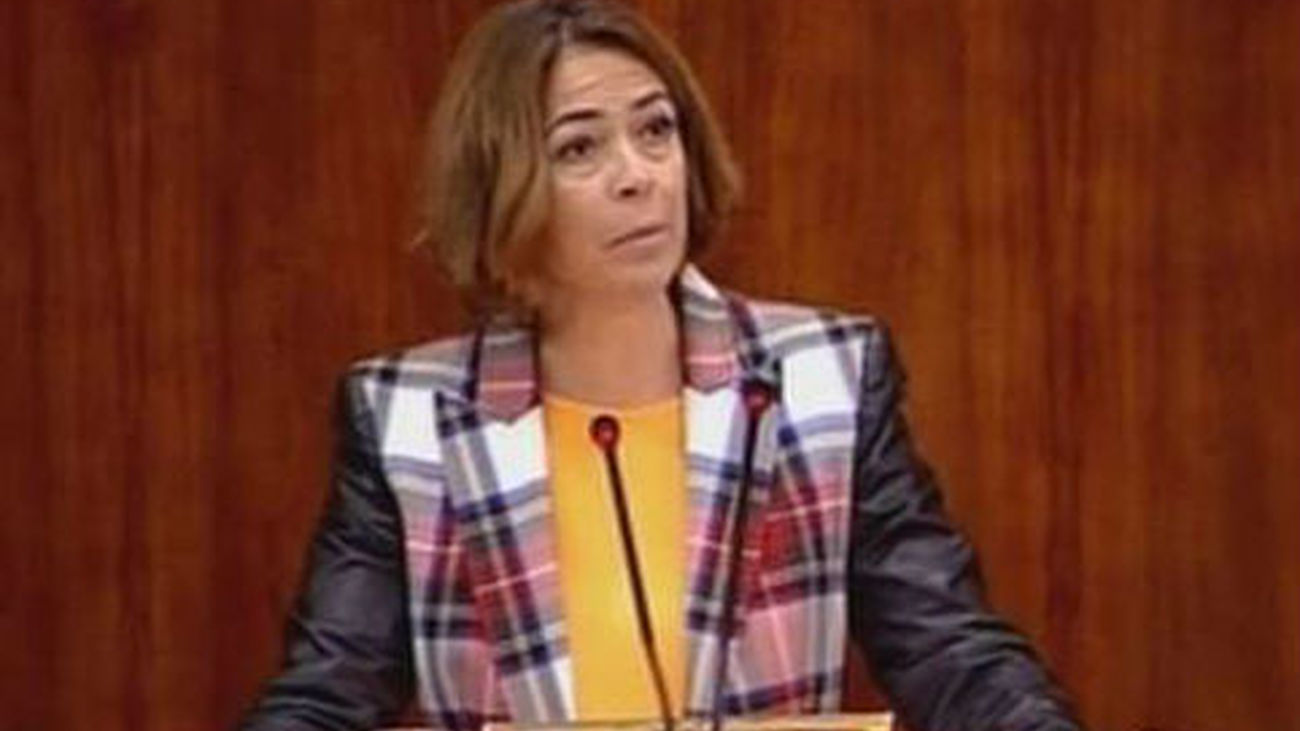 La diputada regional del PP González-Moñux dejará su escaño