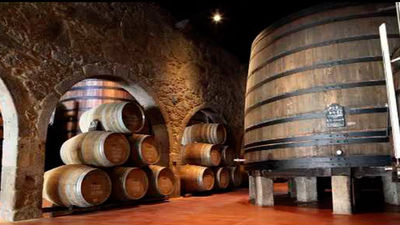 El enoturismo, una opción en Madrid para este enero