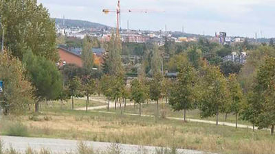 Vecinos de Alpedrete piden que se paralice la creación de huertos urbanos