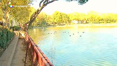 El Ayuntamiento vaciará el lago de la Casa de Campo para su limpieza