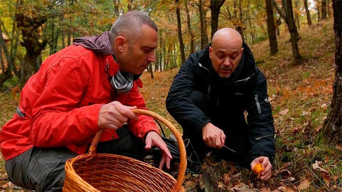 El Encantador de Setas: Rebozuelos en Puebla de la Sierra