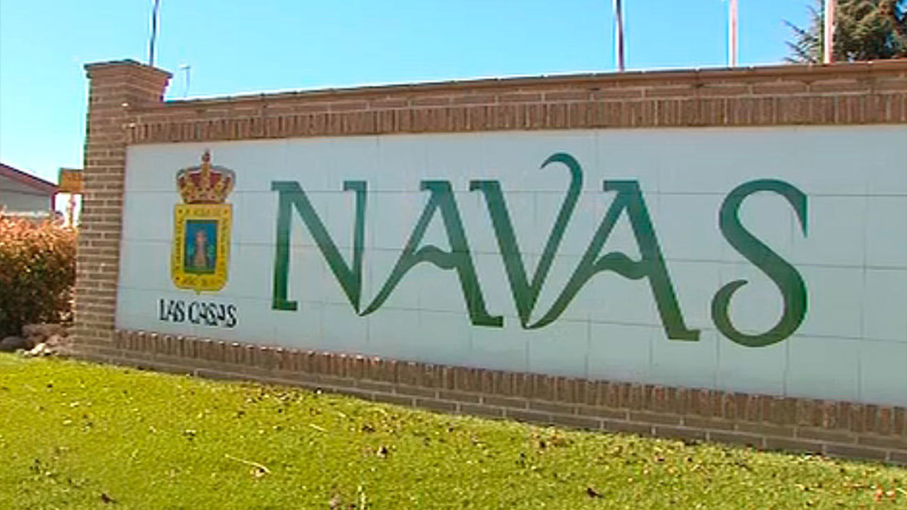 Navas del Rey