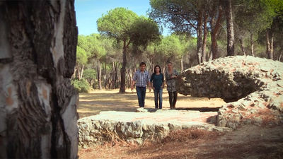 Las Rozas: La Dehesa de Navalcarbón, auténtico pulmón