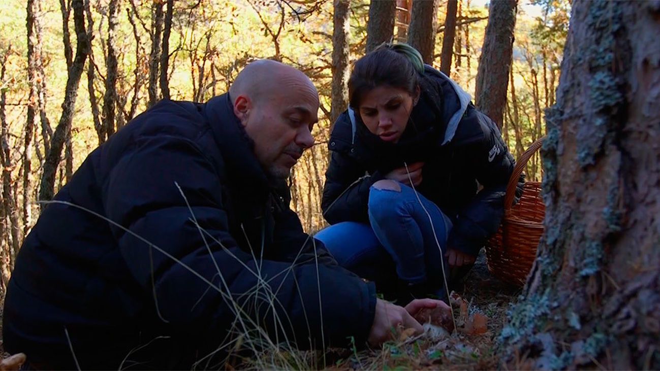 El Encantador de Setas: Boletus pinícola en Lozoya