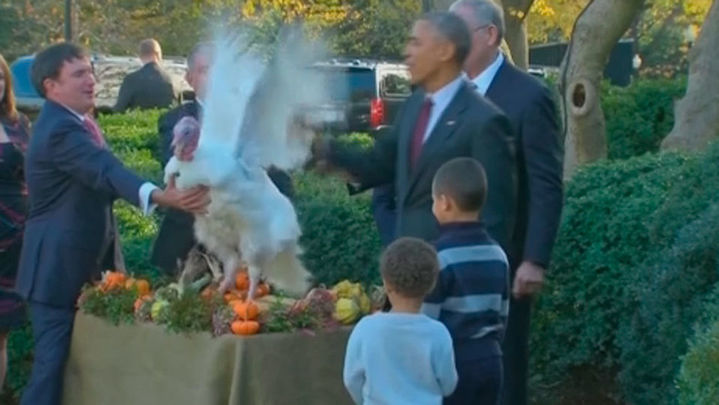 Obama celebra su último indulto del pavo por Acción de Gracias