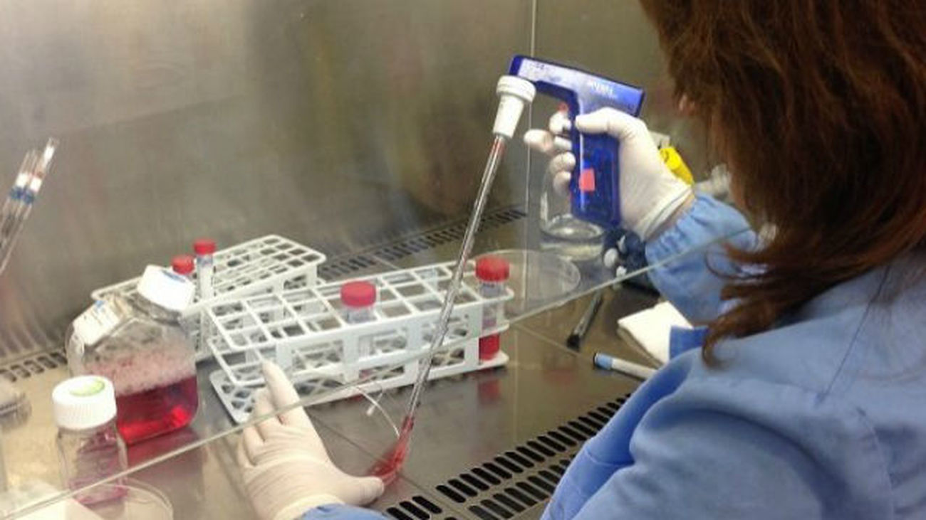 La reprogramación celular es mucho más eficiente si los tejidos están dañados