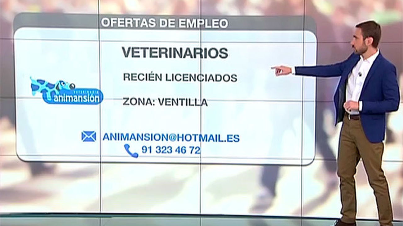 Se buscan camareros, personal de cocina, veterinarios...