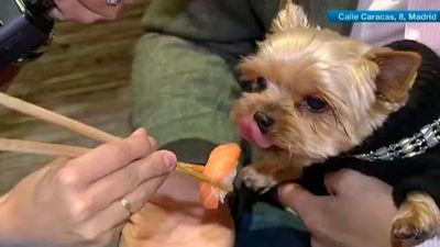 Menús para dueños y mascotas