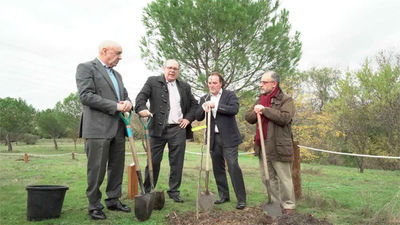 La Comunidad clona 41 árboles para "perpetuar el patrimonio arbóreo de la región"
