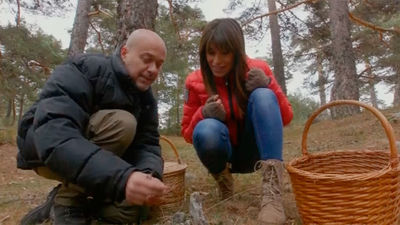 El Encantador de Setas: Níscalos y llanegas en Navacerrada