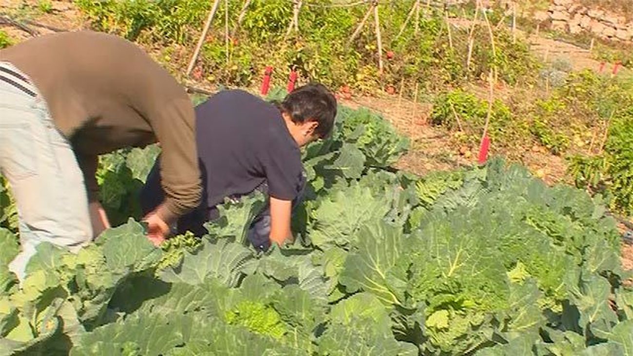 Perales de Tajuña: Agrolab, un proyecto para reconciliar campo y ciudad