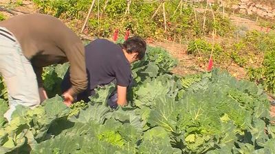 Perales de Tajuña: Agrolab, un proyecto para reconciliar campo y ciudad