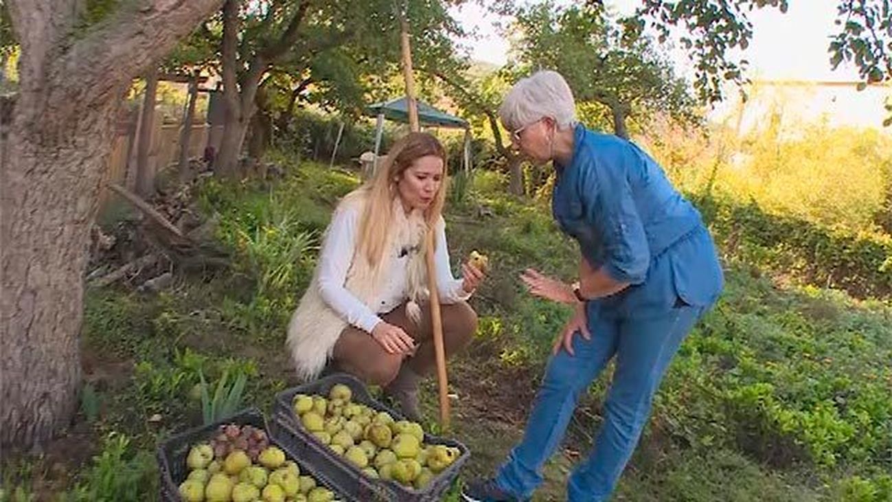 Perales de Tajuña: A la rica pera de invierno