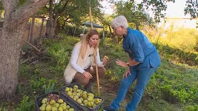Perales de Tajuña: A la rica pera de invierno