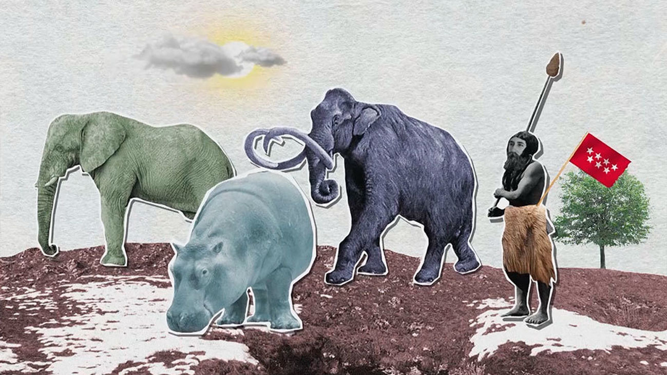 Mamuts en el Museo de San Isidro