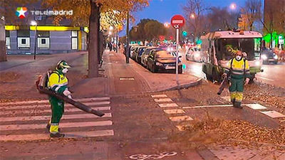 Rita Maestre dice que 548 personas recogen las hojas en Madrid