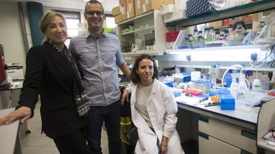 Descubren que las células tumorales necesitan grasa para hacer metástasis