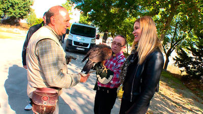 Chapinería: El poder terapeútico de las rapaces