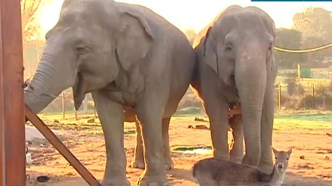 Desayunando en el Safari de Madrid
