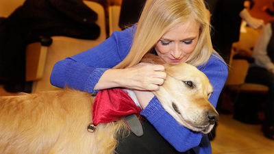 Cifuentes anima a adoptar a los perros policía  'jubilados'