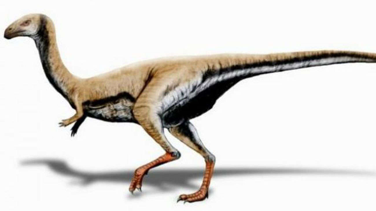 El Limusaurus, un dinosaurio que perdía los dientes al hacerse adulto
