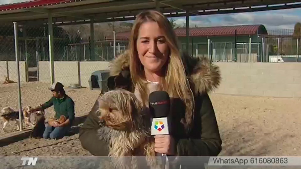 Telenoticias 1 04.01.2017