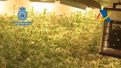 Llama a la Guardia Civil al sospechar de un ladrón y la detienen con droga en casa