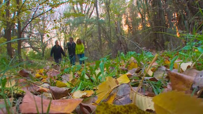 Brunete: Rutas en un entorno único