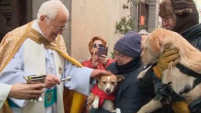 Los madrileños acuden con sus mascotas a San Antón para recibir la bendición