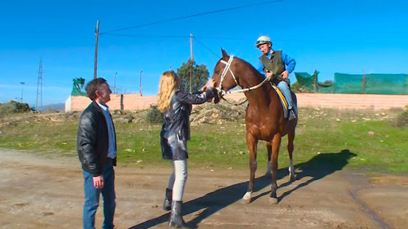El Vellón: Cantera de jinetes