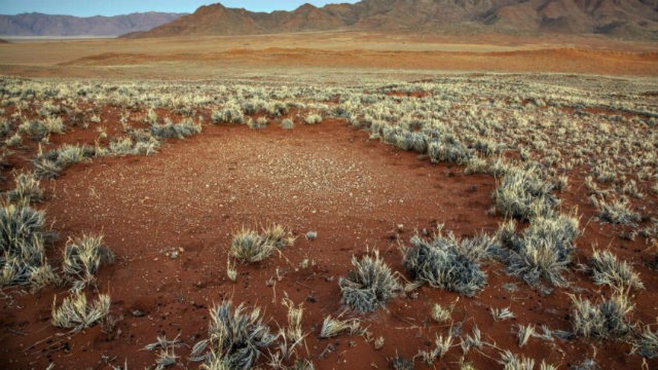 Una nueva hipótesis explica el misterio de los "círculos de hadas" de Namibia